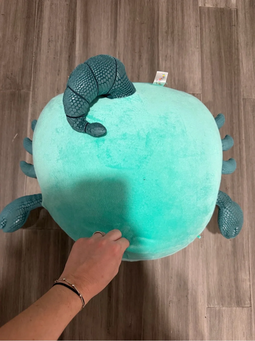 Squishmallows Aqua Sea Critter Plush Pillow